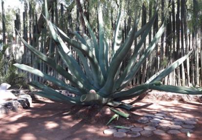 Voyage au Mexique de Didier