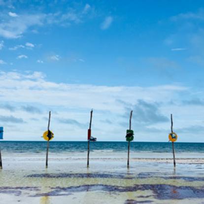 Voyage au Mexique de Cyril & Fabien