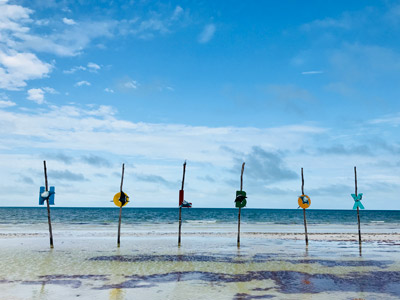 Voyage au Mexique de Cyril & Fabien