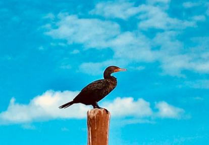 Voyage au Mexique de Cyril & Fabien