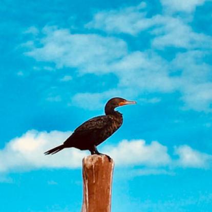 Voyage au Mexique de Cyril & Fabien