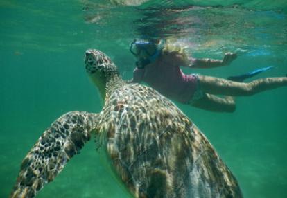 Voyage au Mexique du Groupe de Stéphane