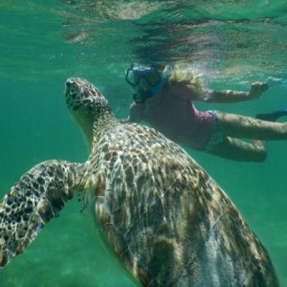 ©Stéphane M. - Tous Droits Réservés Voyage au Mexique du Groupe de Stéphane