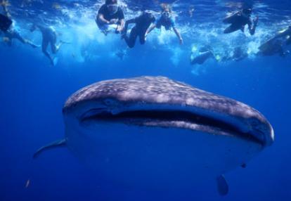 Voyage au Mexique du Groupe de Stéphane