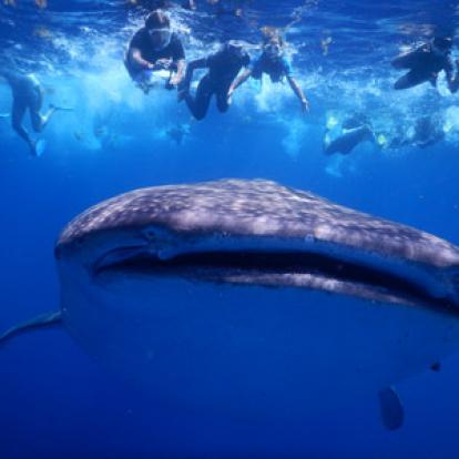 ©Stéphane M. - Tous Droits Réservés Voyage au Mexique du Groupe de Stéphane