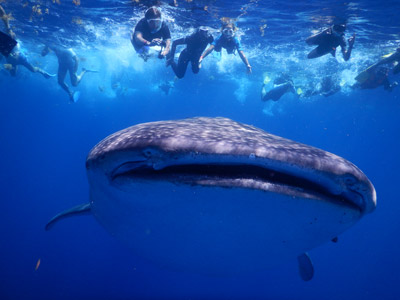 ©Stéphane M. - Tous Droits réservés Voyage au Mexique du Groupe de Stéphane