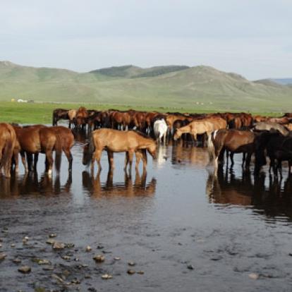 Voyage en Mongolie de Patrick, Patricia, Jean Francois, Joelle
