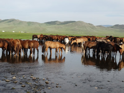 Voyage en Mongolie de Patrick, Patricia, Jean Francois, Joelle