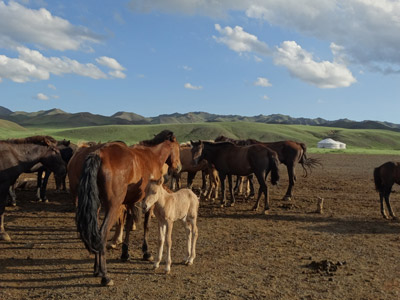 Voyage en Mongolie de Patrick, Patricia, Jean Francois, Joelle