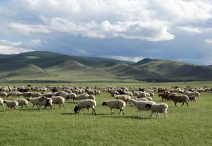 ©Joëlle B. - Tous Droits réservés Voyage en Mongolie de Patrick, Patricia, Jean Francois, Joelle