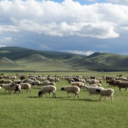 Voyage en Mongolie de Patrick, Patricia, Jean Francois, Joelle