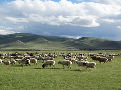 Voyage en Mongolie de Patrick, Patricia, Jean Francois, Joelle
