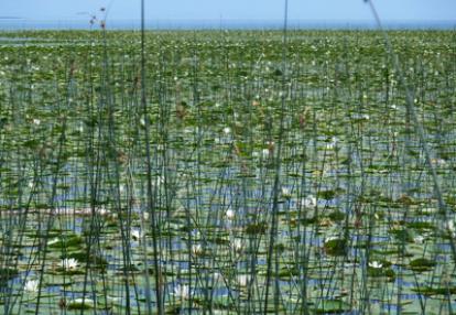 ©Pierre P. - Tous Droits réservés Voyage au Monténégro de Pierre