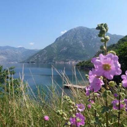 Perast Et Ses îles Voyage au Monténégro de Jean-Marie