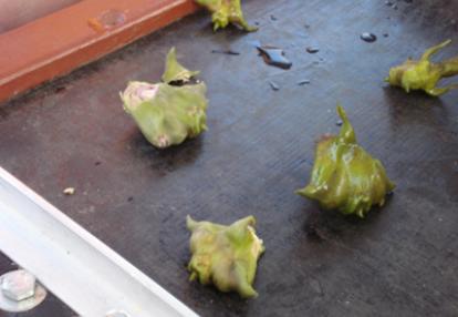 Voyage au Monténégro de Jean-François