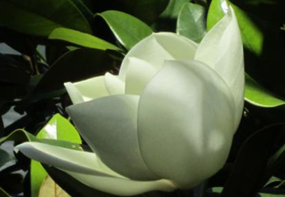 Voyage au Monténégro