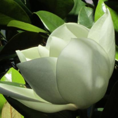 Voyage au Monténégro