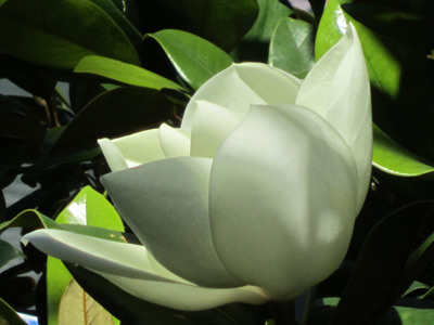 Voyage au Monténégro