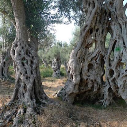 ©Nicolas De F. - Tous Droits Réservés Voyage au Monténégro de Nicolas