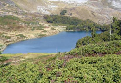 parc national Biogradska gora