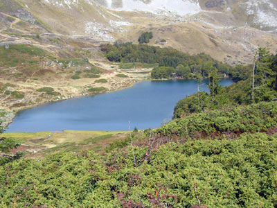 ©Marie-France B. - Tous Droits réservés parc national Biogradska gora