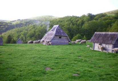 Voyage au Monténgro d'Anne A.