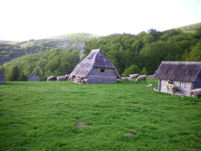 Voyage au Monténgro d'Anne A.