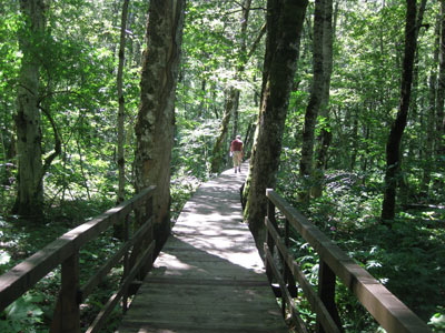 Voyage au Monténgro d'Anne