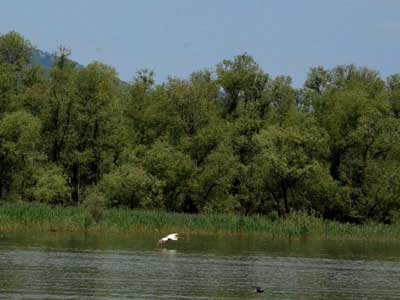 Voyage au Monténgro du Groupe d'Annick