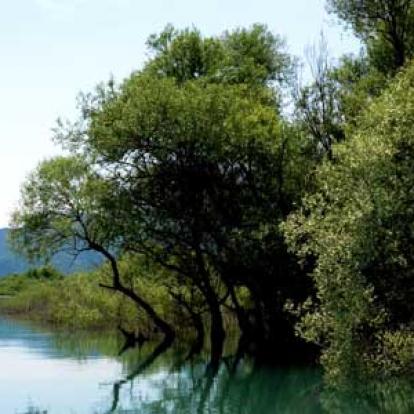 Voyage au Monténgro du Groupe d'Annick