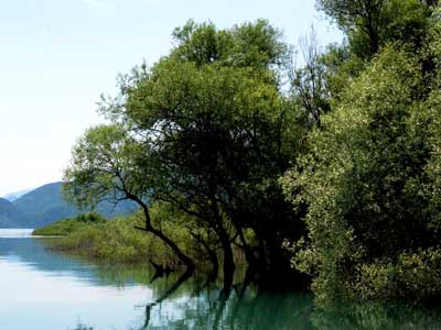 Voyage au Monténgro du Groupe d'Annick