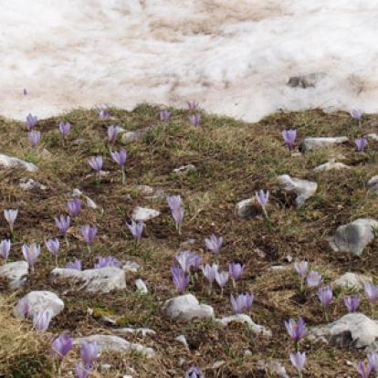 Voyage au Monténgro de Roland