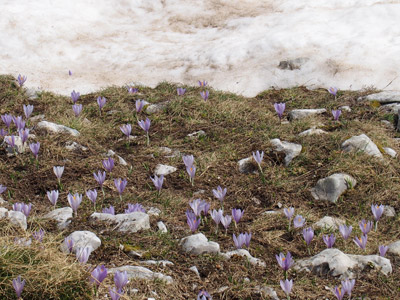 Voyage au Monténgro de Roland