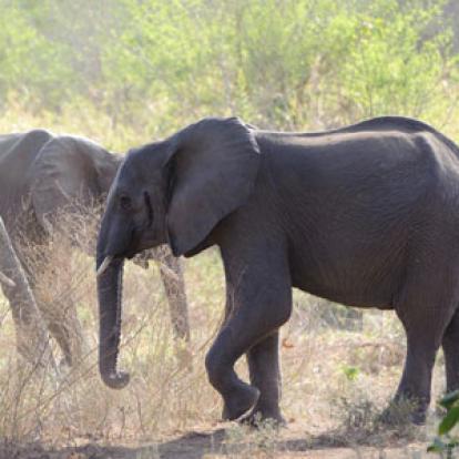 Voyage au Mozambique d'Olivier