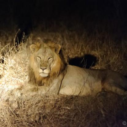 Voyage au Mozambique d'Olivier