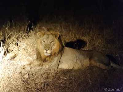 Voyage au Mozambique d'Olivier