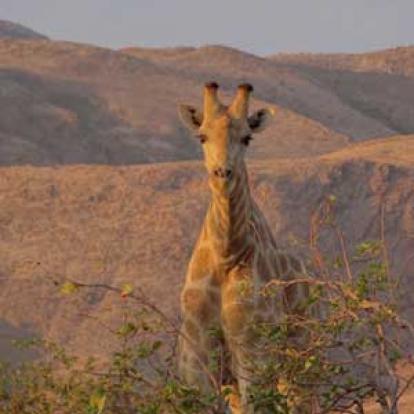 ©Nicolas D. - Tous Droits Réservés ©Nicolas D. - Tous Droits réservés