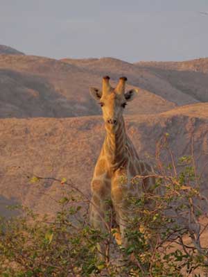 ©Nicolas D. - Tous Droits réservés ©Nicolas D. - Tous Droits réservés