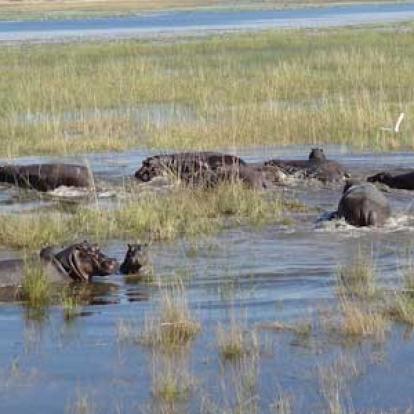 ©Nicolas D. - Tous Droits Réservés Voyage Safari en Namibie