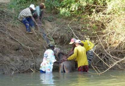 Voyage Safari en Namibie