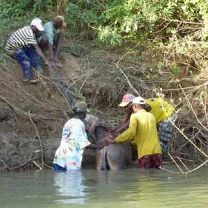 ©Nicolas D. - Tous Droits Réservés Voyage Safari en Namibie