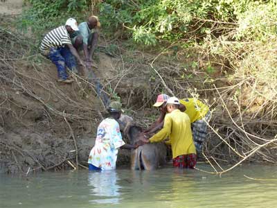 ©Nicolas D. - Tous Droits réservés Voyage Safari en Namibie