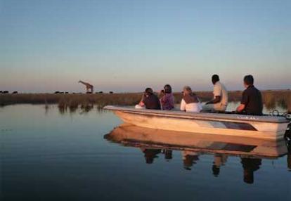©Nicolas D. - Tous Droits réservés Voyage Safari en Namibie