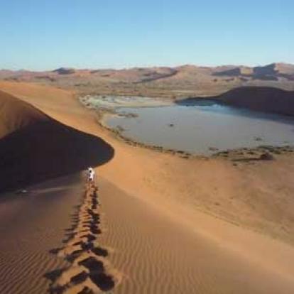 ©Nicolas D. - Tous Droits Réservés Voyage Safari en Namibie