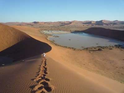 ©Nicolas D. - Tous Droits réservés Voyage Safari en Namibie