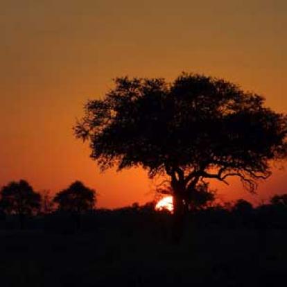©Nicolas D. - Tous Droits Réservés Voyage Safari en Namibie