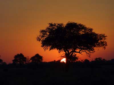 ©Nicolas D. - Tous Droits réservés Voyage Safari en Namibie