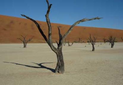 ©Nicolas D. - Tous Droits réservés Voyage Safari en Namibie