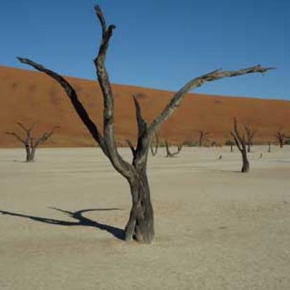 ©Nicolas D. - Tous Droits Réservés Voyage Safari en Namibie