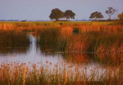 Voyage Safari en Namibie